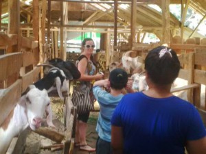 Cibubur Garden Dairy (Cibugary)